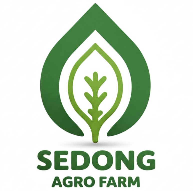 Shop Logo